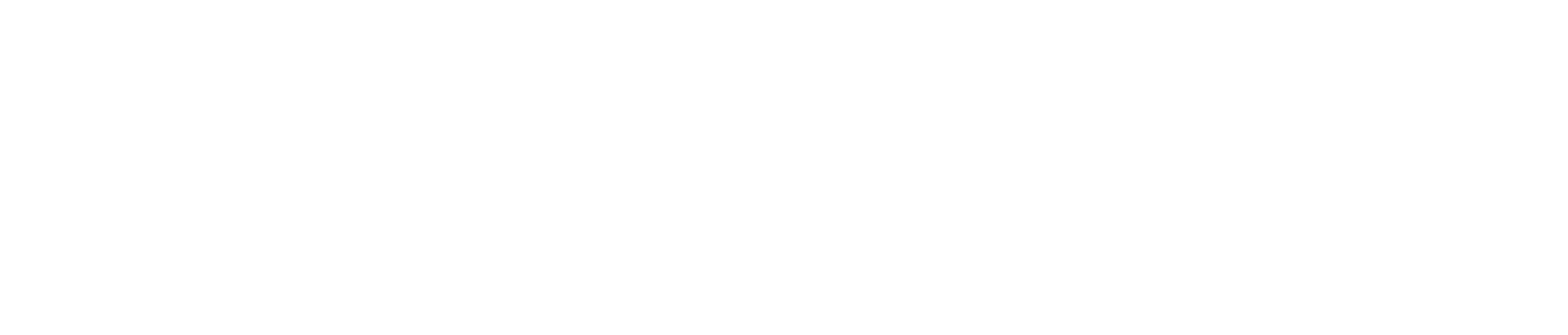 Doozy Robotics logo